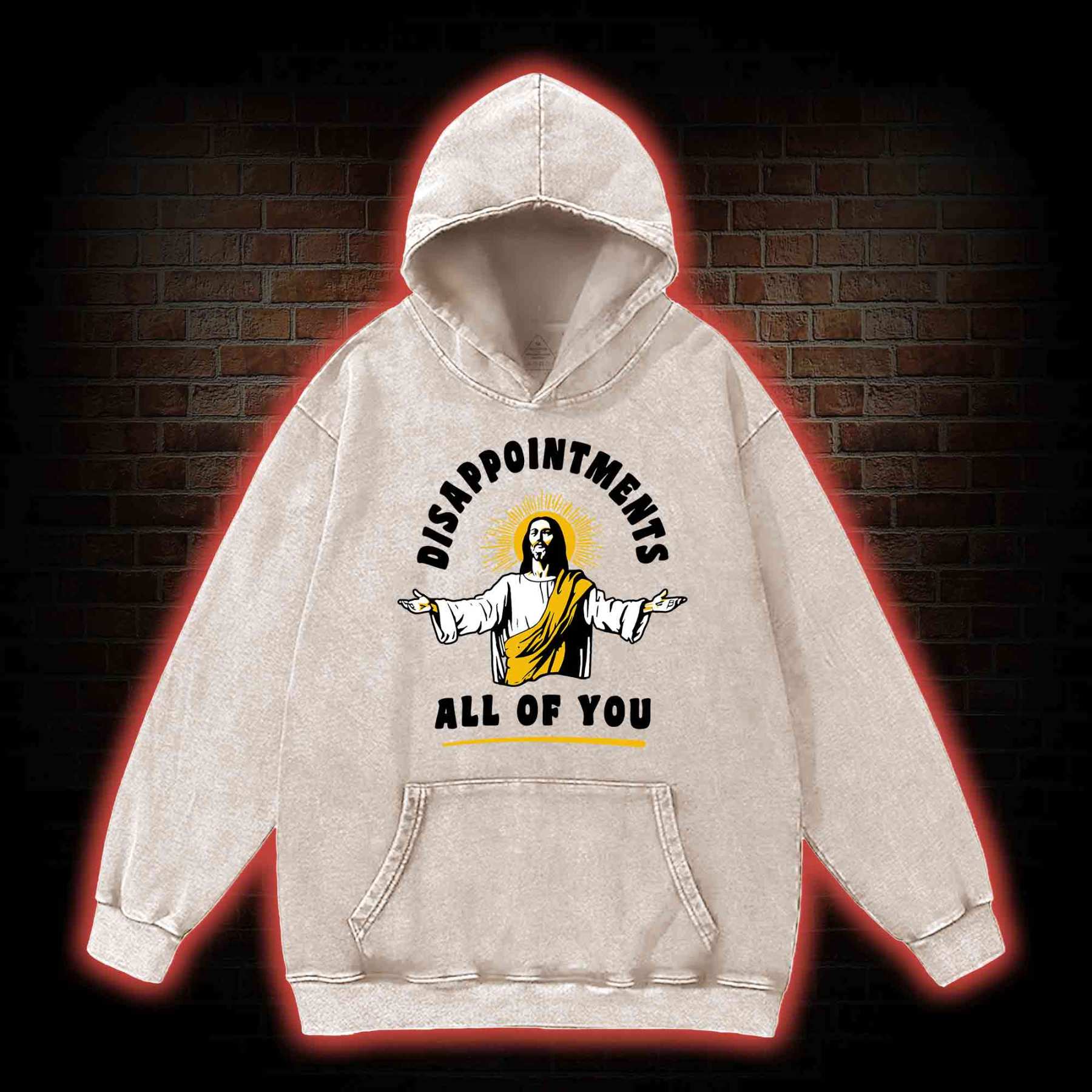 Disappointments All Of You Washed Hoodie