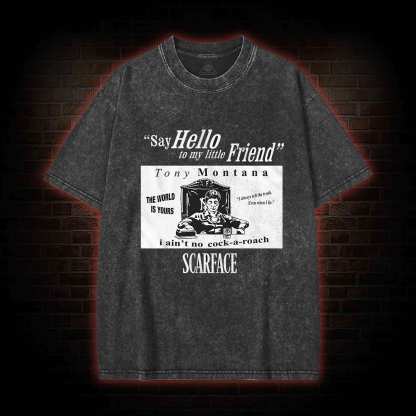 Say Hello to My Little Friend Washed T-shirt