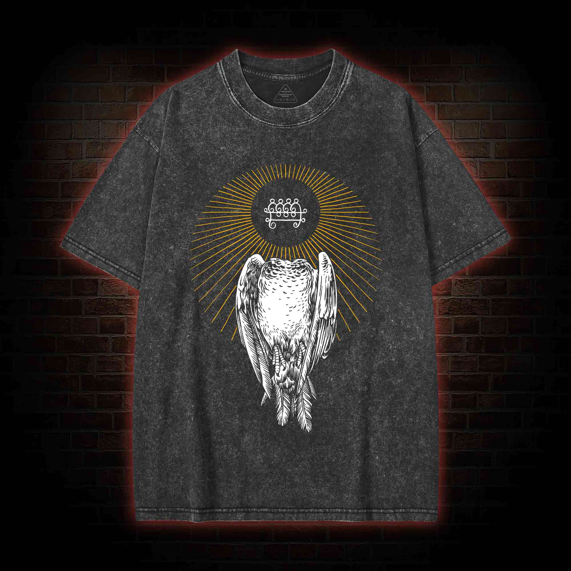 Headless Pigeon Washed T-shirt