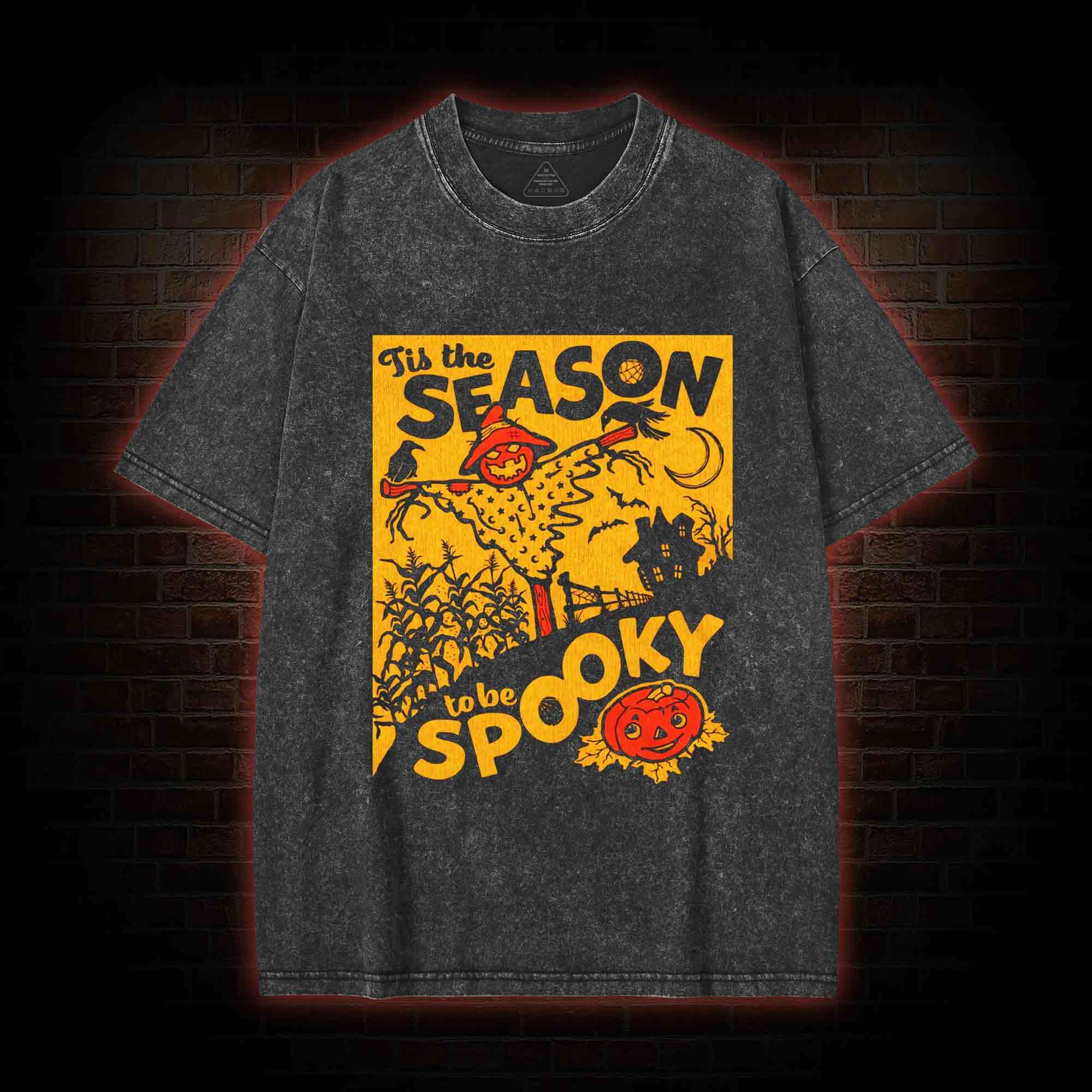 Tis the Season to be Spooky Washed T-shirt