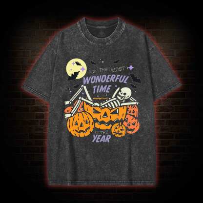 Most Wonderful Time Washed T-shirt