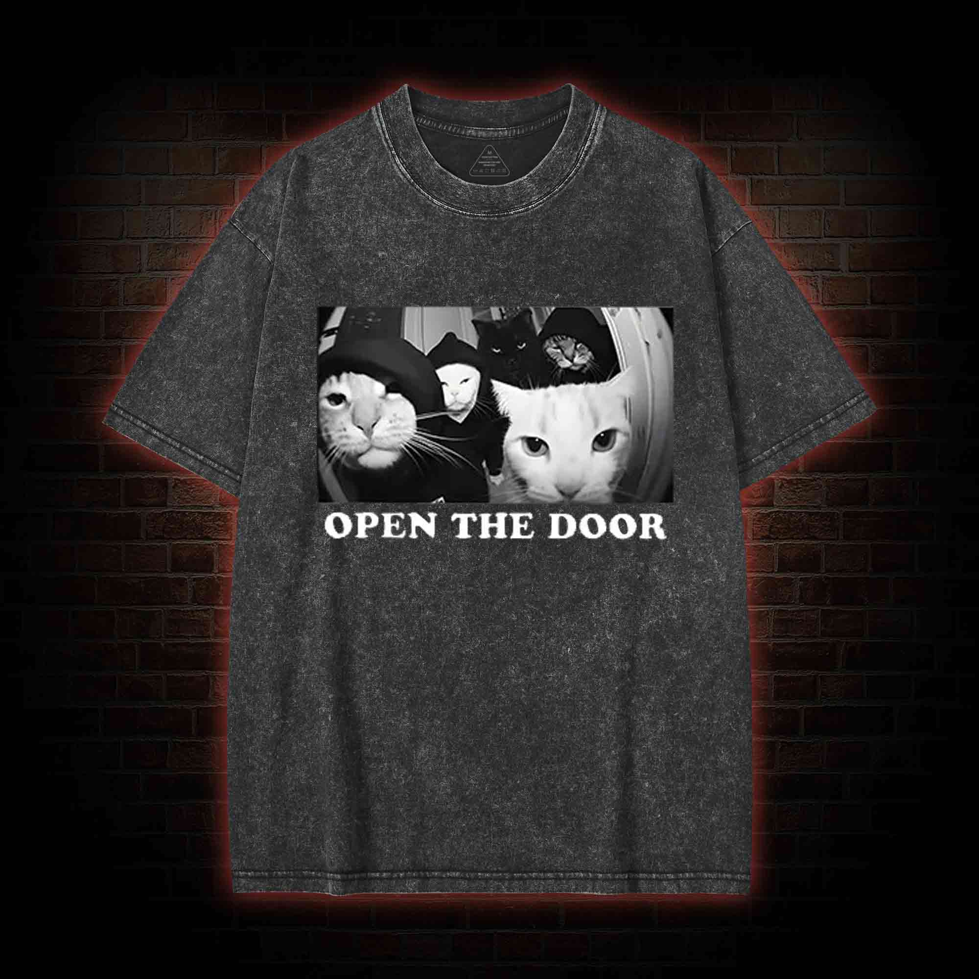 Cats Open Door Washed T-shirt