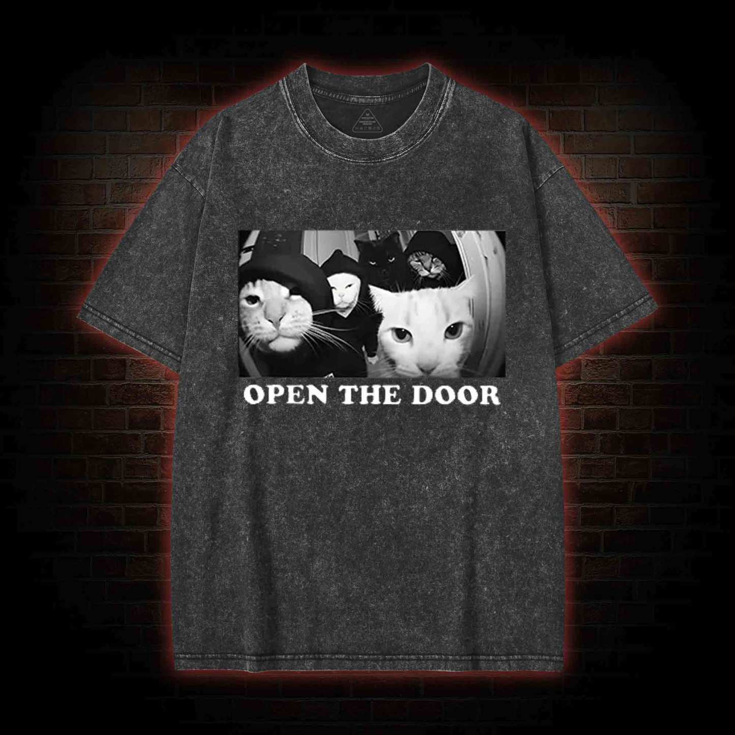 Cats Open Door Washed T-shirt
