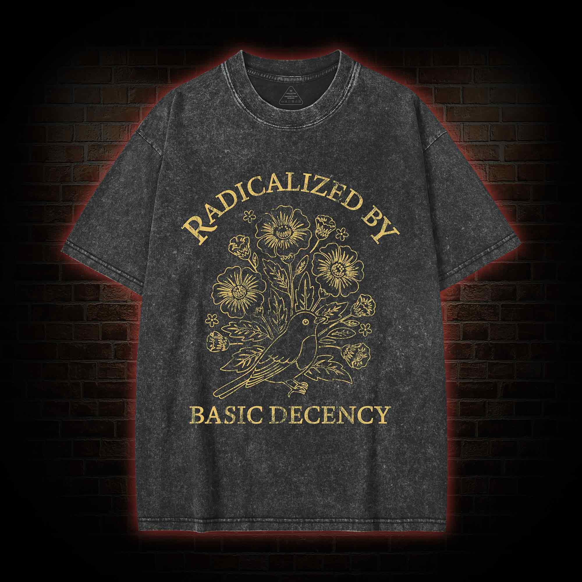 Vintage Radicalized by Basic Decency Washed T-shirt