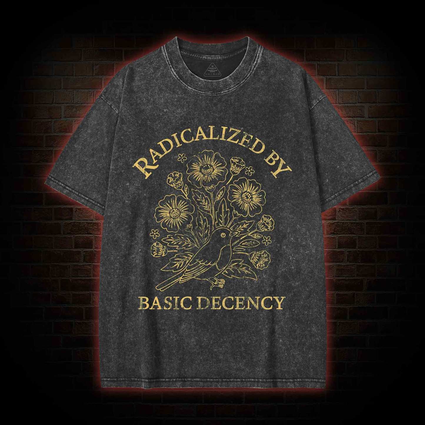 Vintage Radicalized by Basic Decency Washed T-shirt