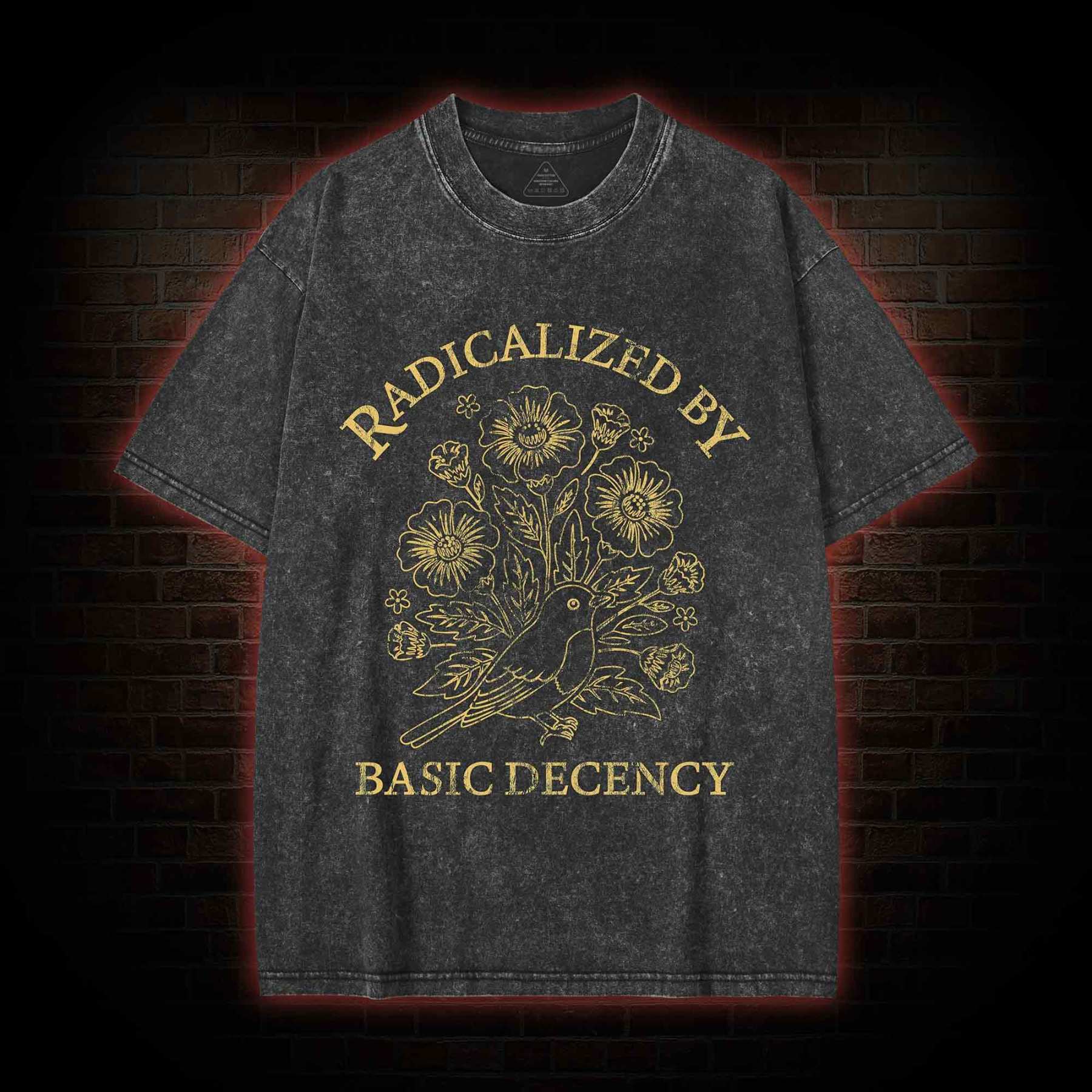 Vintage Radicalized by Basic Decency Washed T-shirt