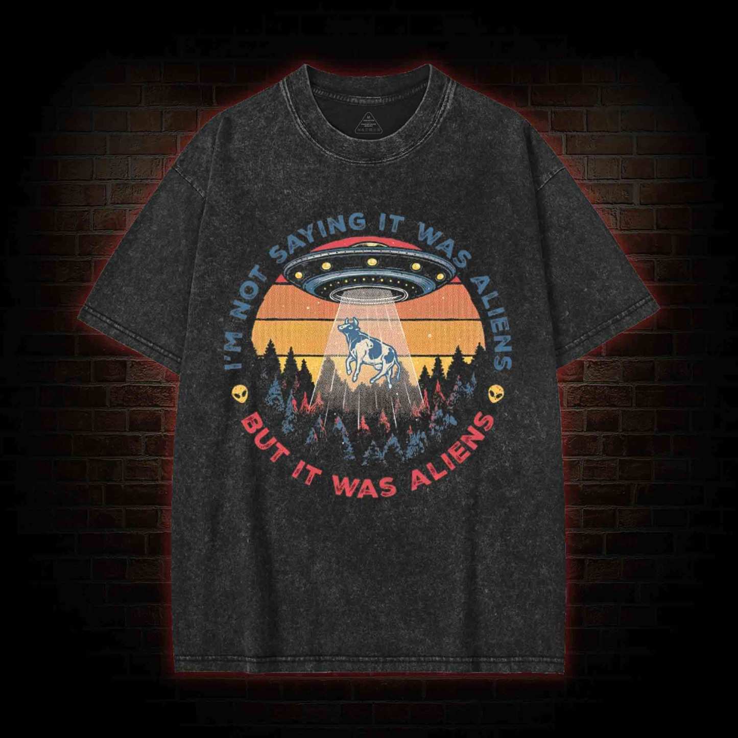 I'm Not Saying It Was Aliens UFO Washed T-shirt