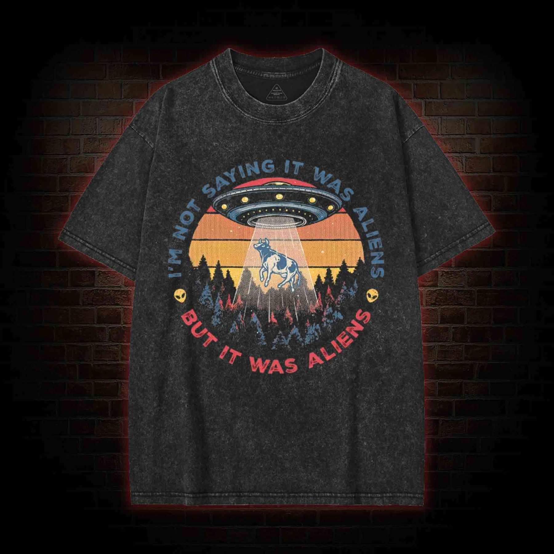 I'm Not Saying It Was Aliens UFO Washed T-shirt