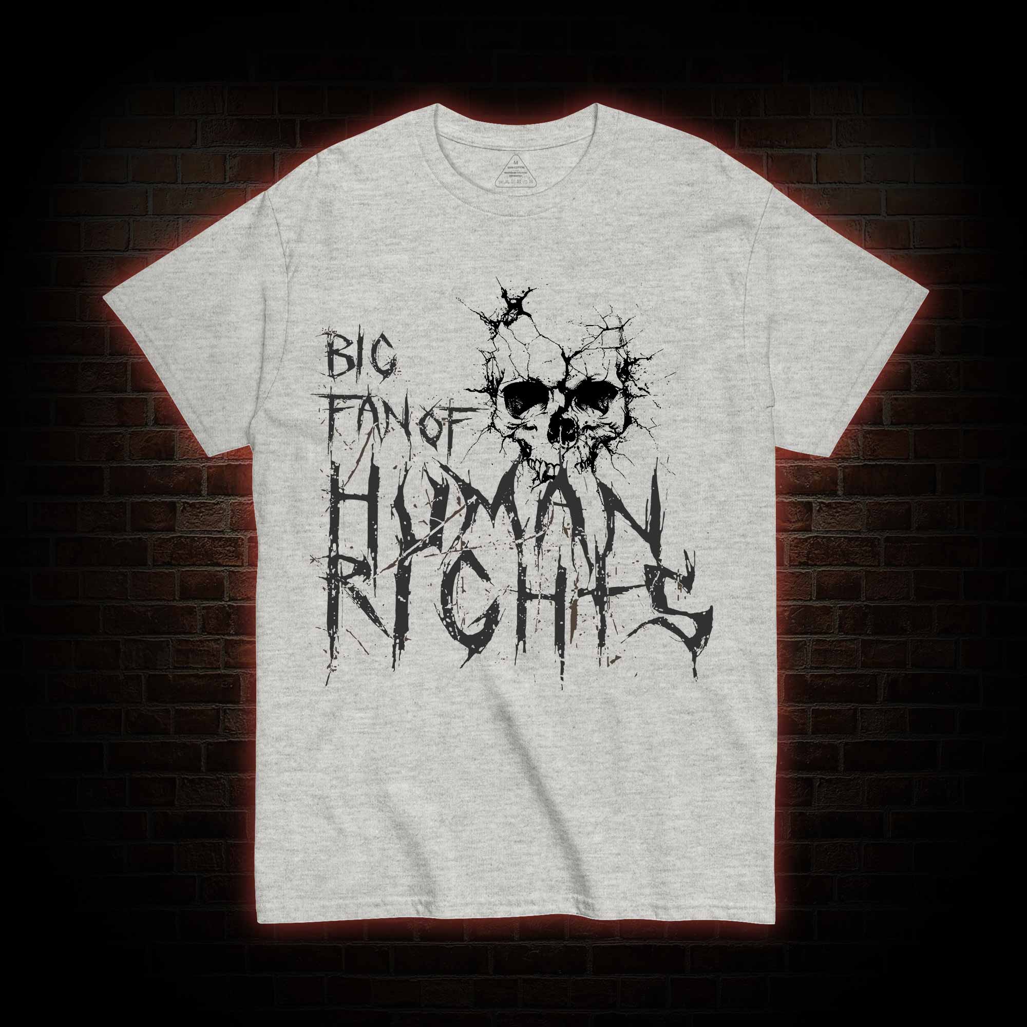 Big Fan of Human Rights T-shirt