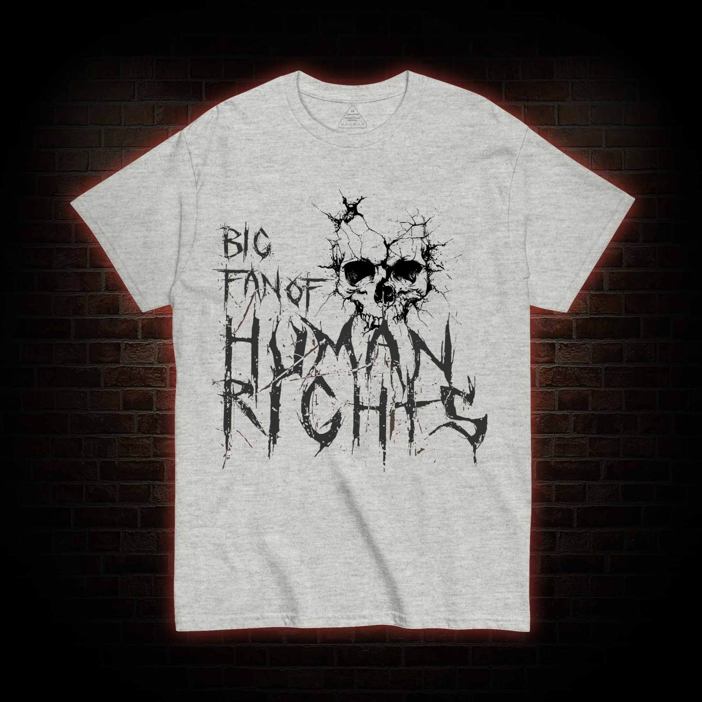 Big Fan of Human Rights T-shirt
