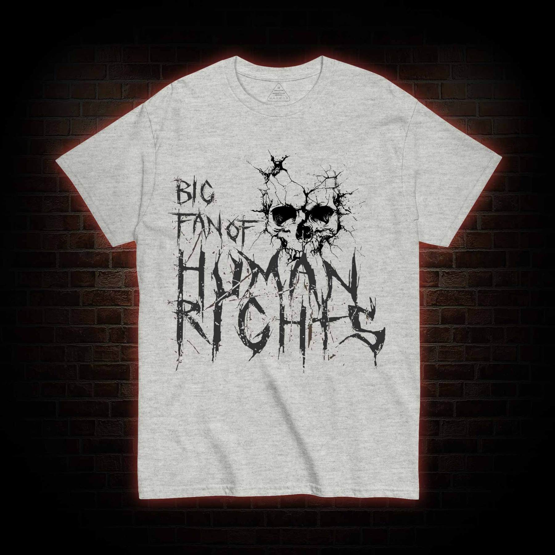 Big Fan of Human Rights T-shirt