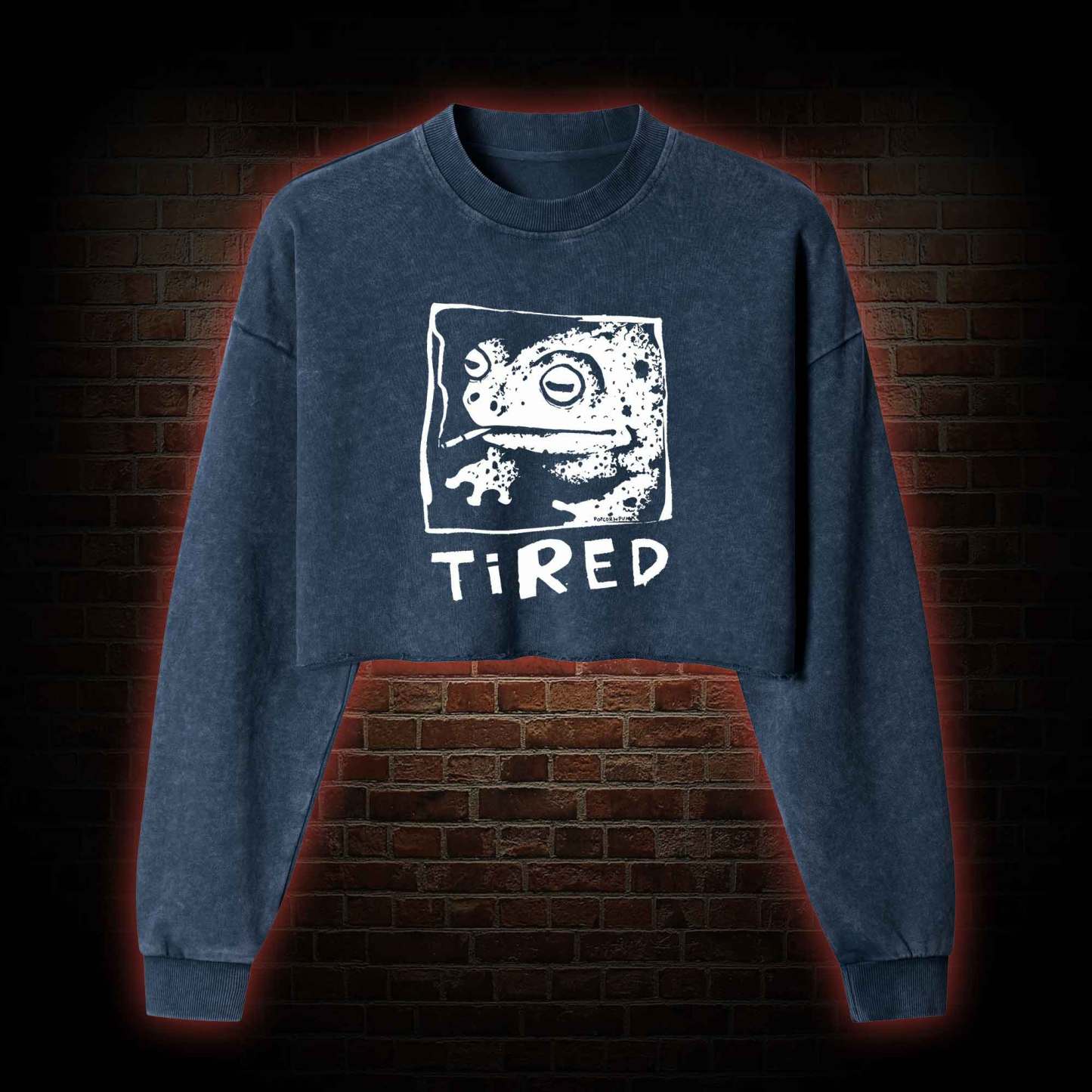 Tired Frog Washed Cropped Sweatshirts