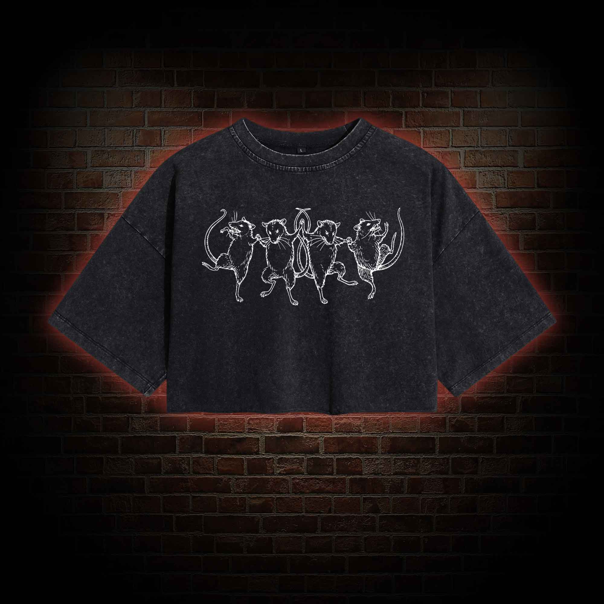 Dancing Rats Washed Cropped T-shirts