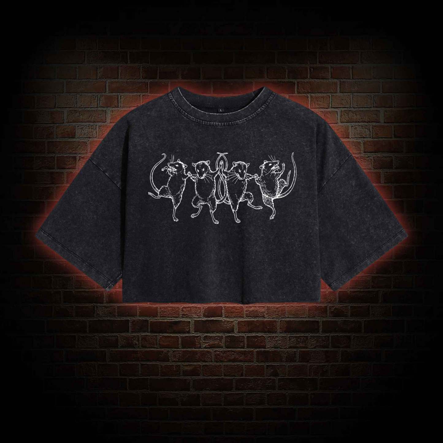 Dancing Rats Washed Cropped T-shirts