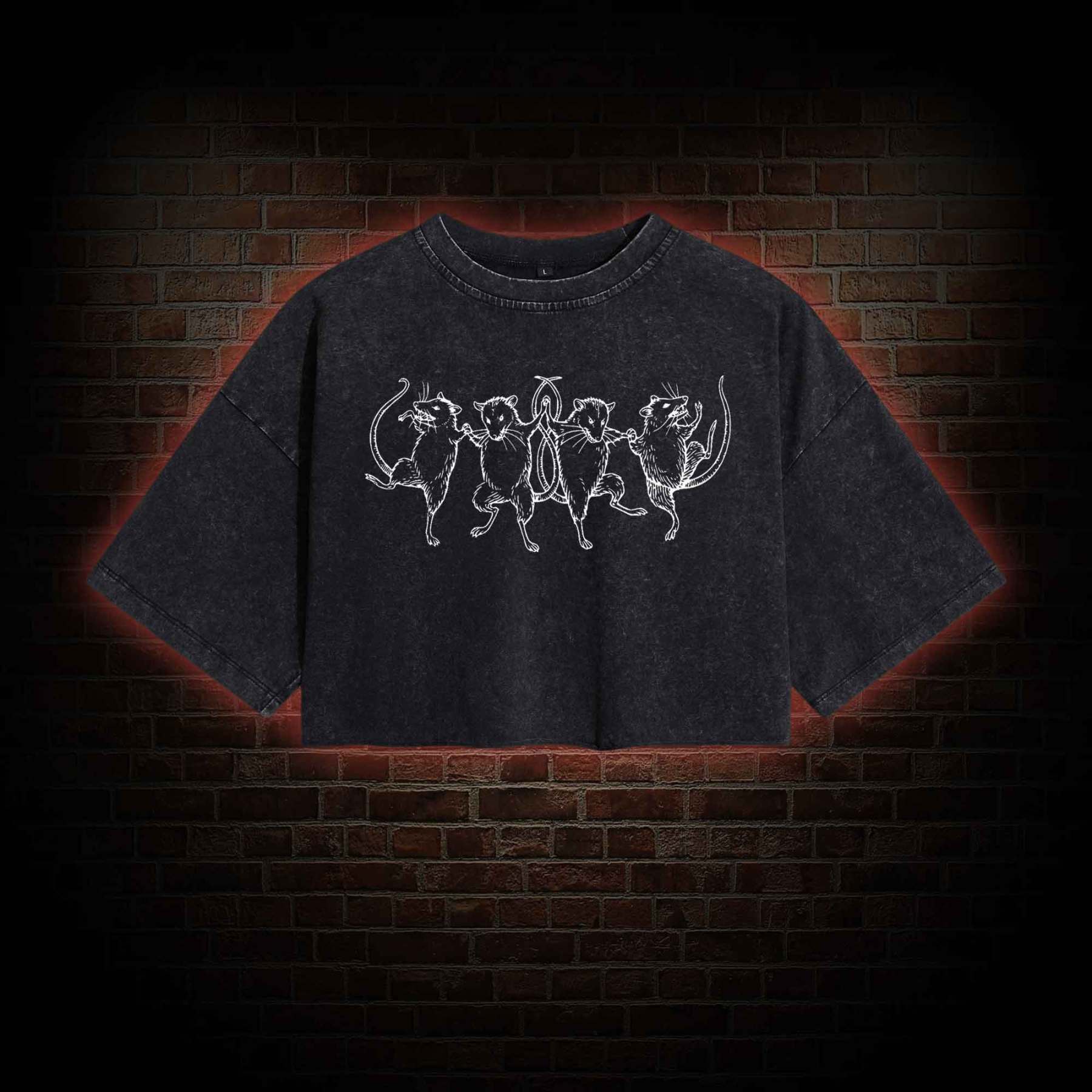 Dancing Rats Washed Cropped T-shirts