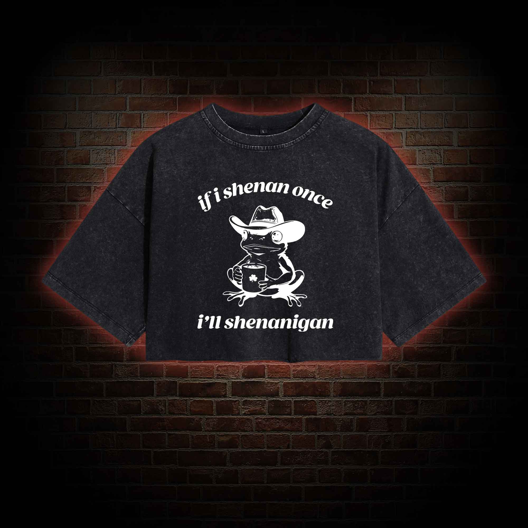 If I Shenan Once I'll Shenanigan Washed Cropped T-shirts