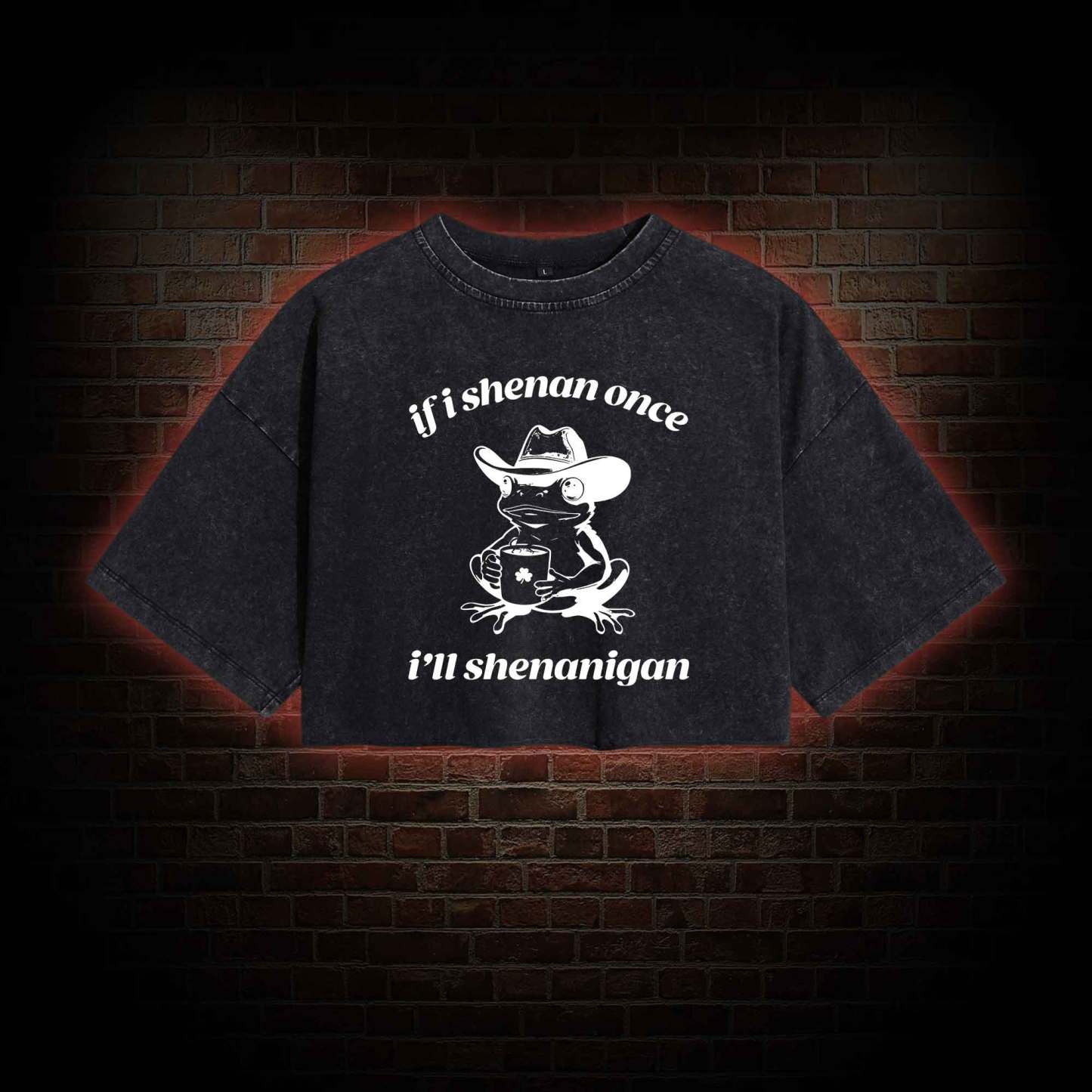 If I Shenan Once I'll Shenanigan Washed Cropped T-shirts
