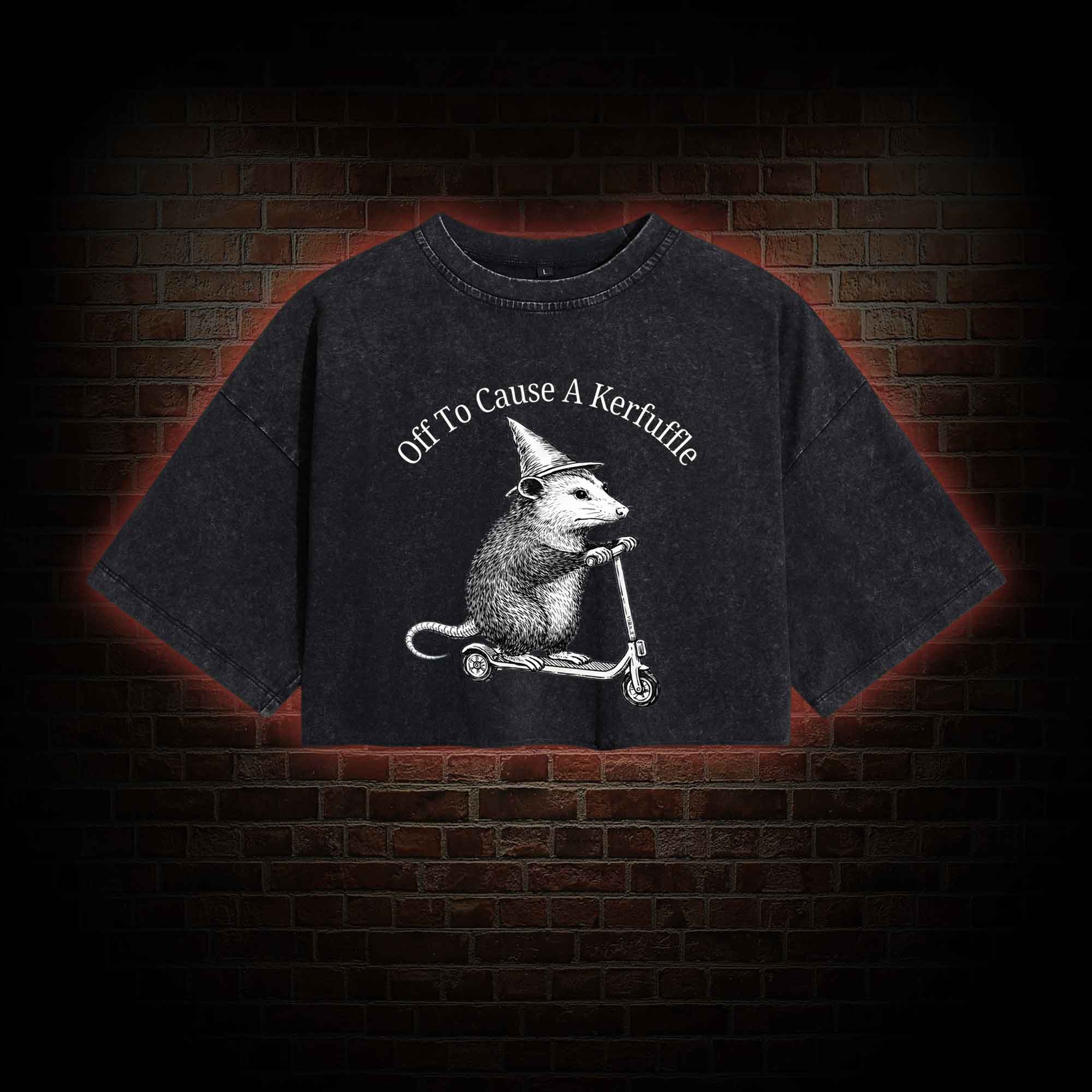 Cause a Kerfuffle Washed Cropped T-shirts