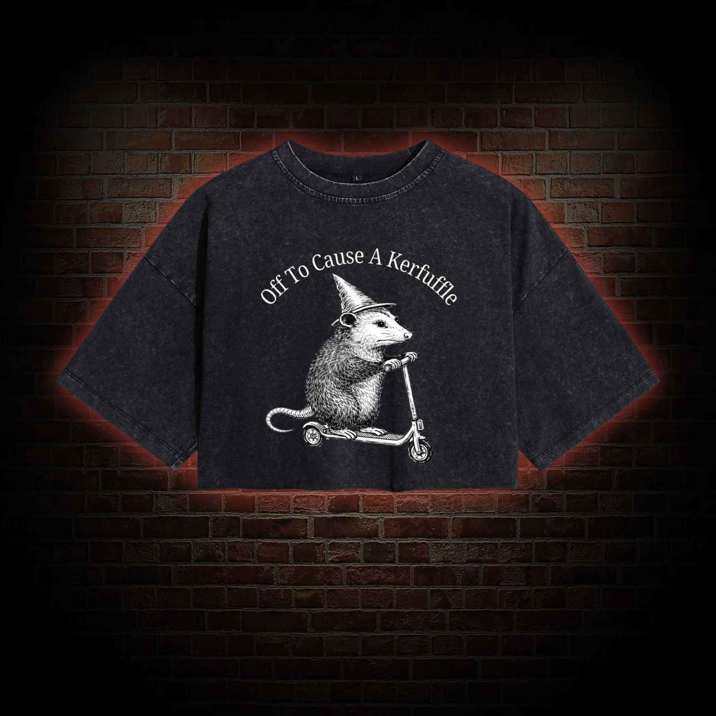 Cause a Kerfuffle Washed Cropped T-shirts