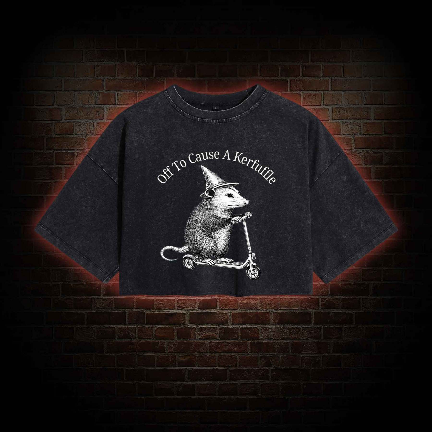 Cause a Kerfuffle Washed Cropped T-shirts