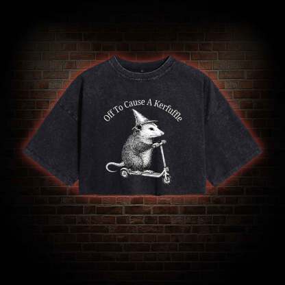 Cause a Kerfuffle Washed Cropped T-shirts