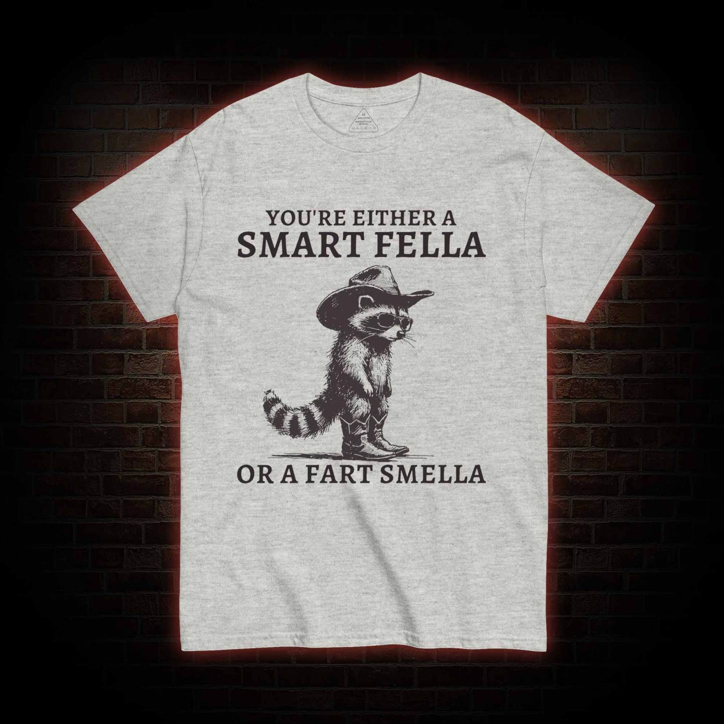 You're Either a Smart Fella or a  Fart Smella T-shirt