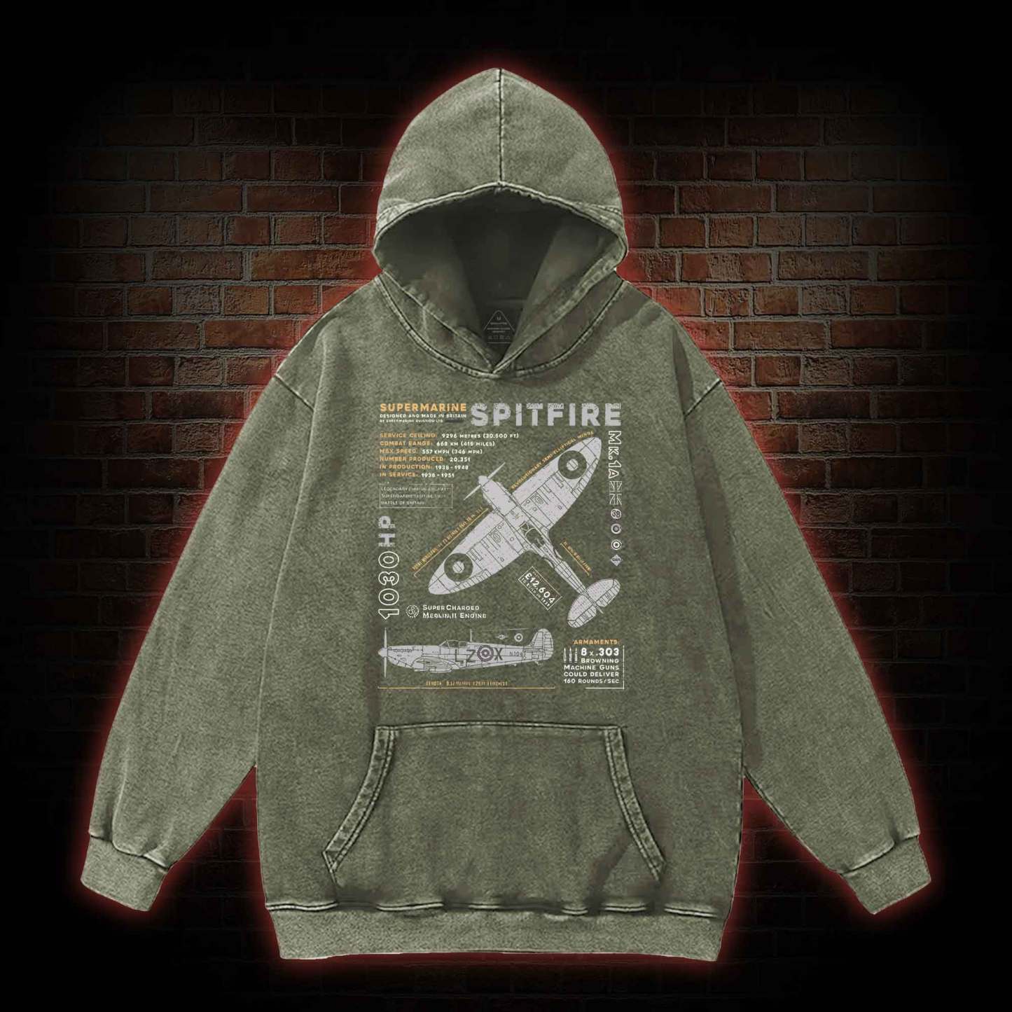 Royal Air Force Marlin Figher Washed Hoodie