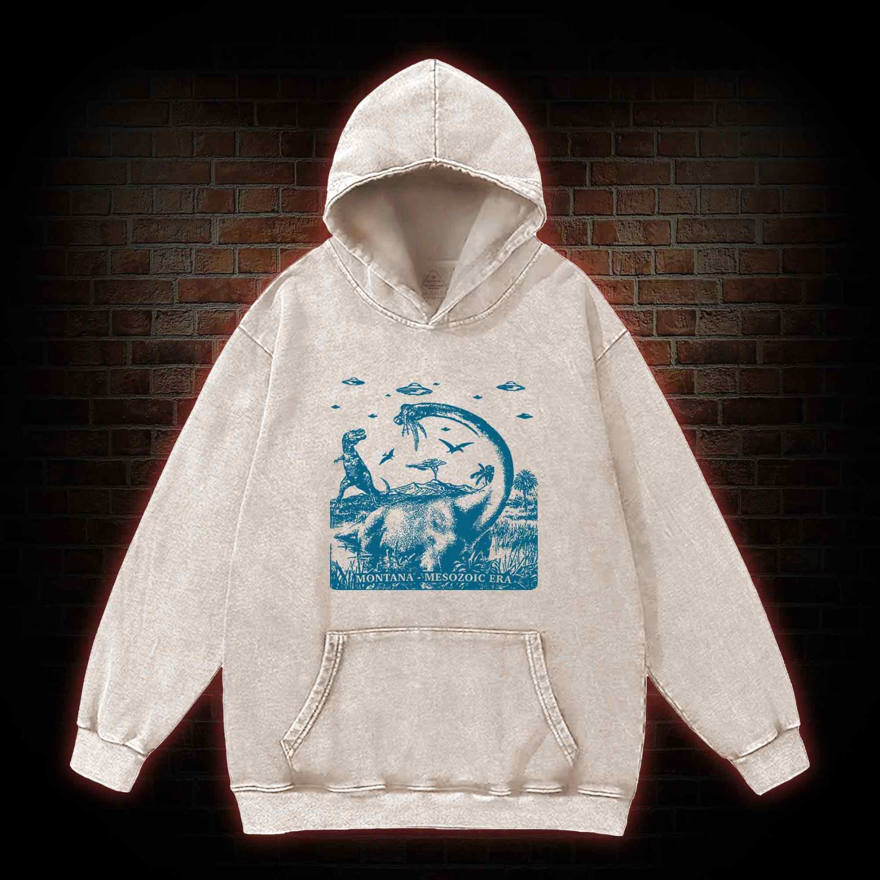 Montana Mesozoic Era Washed Hoodie