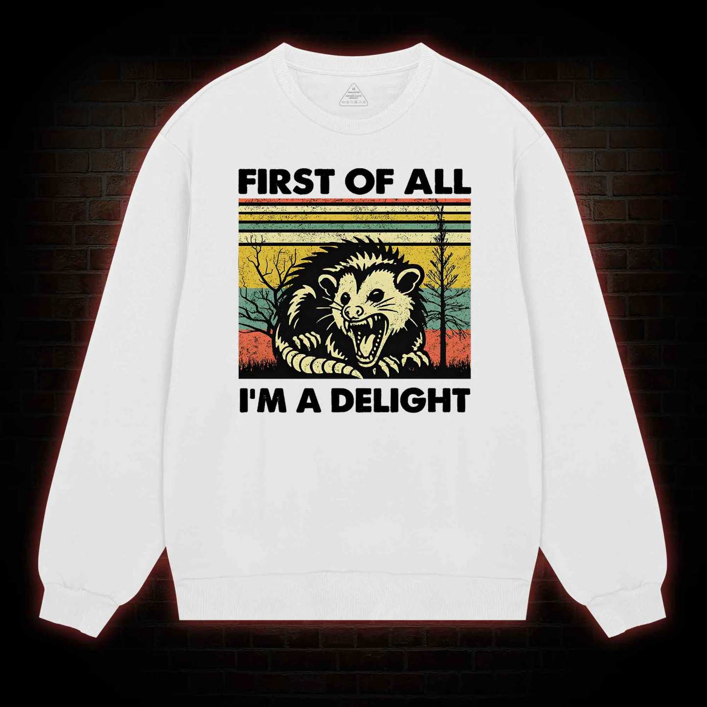 I'm A Delight Sweatshirt
