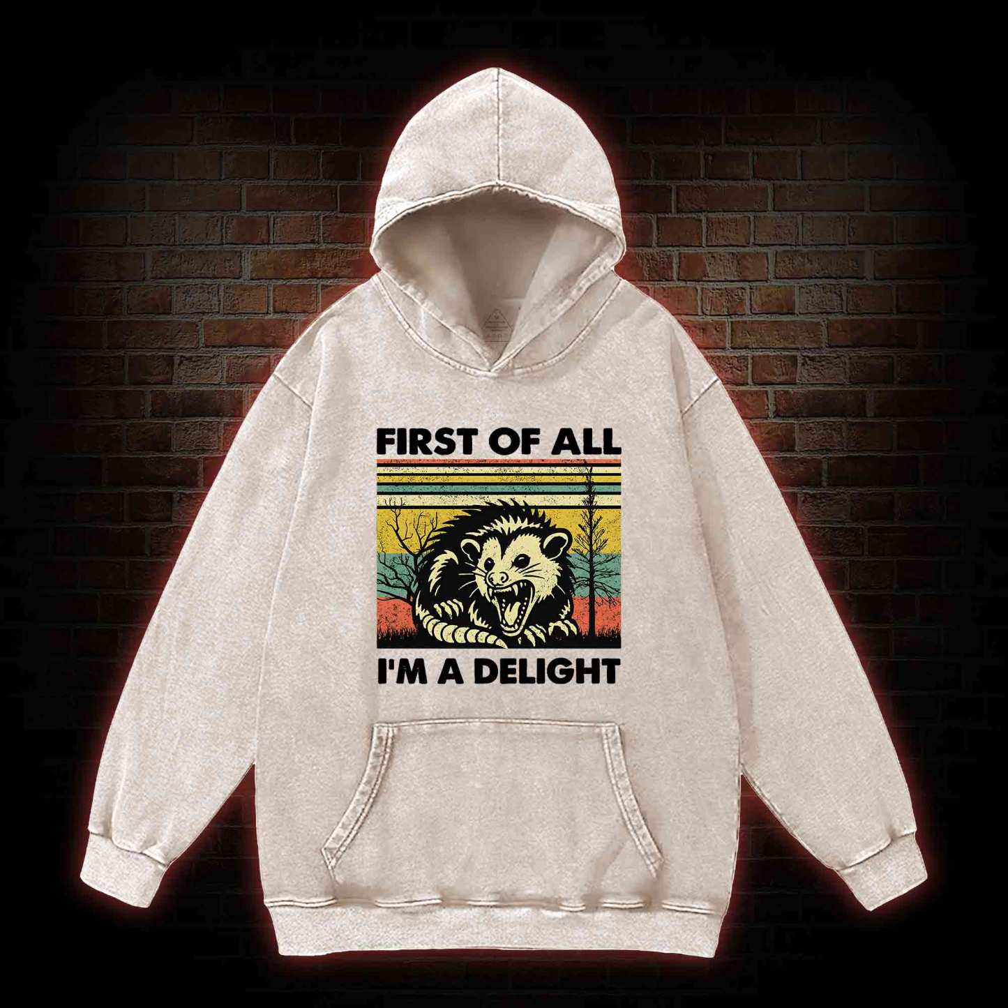 I'm A Delight Washed Hoodie