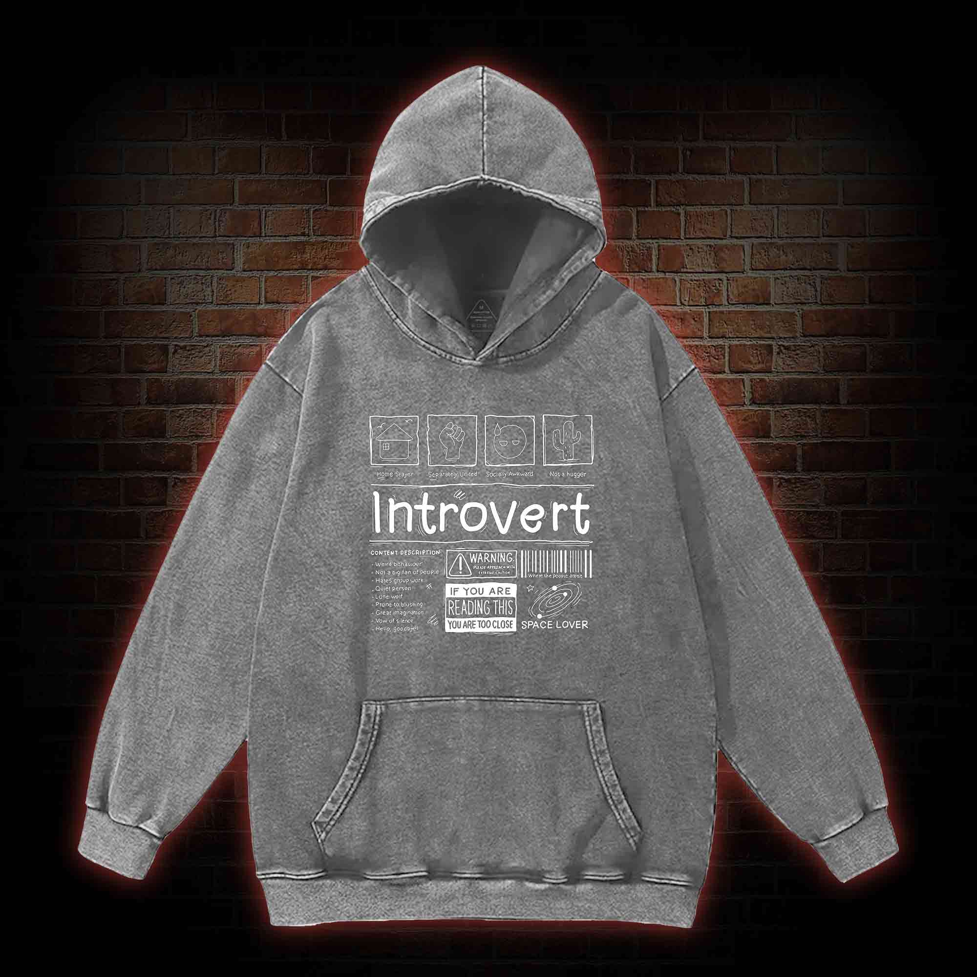 Introvert Washed Hoodie