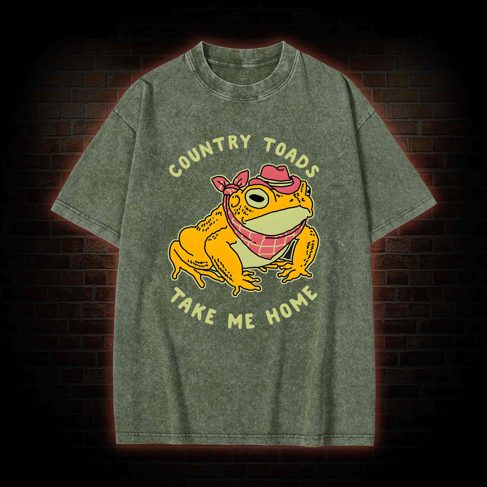 Country Toads Take Me Home Washed T-shirt