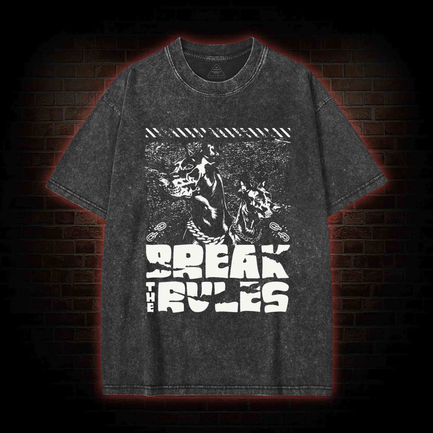 Break the Rules Washed T-shirt