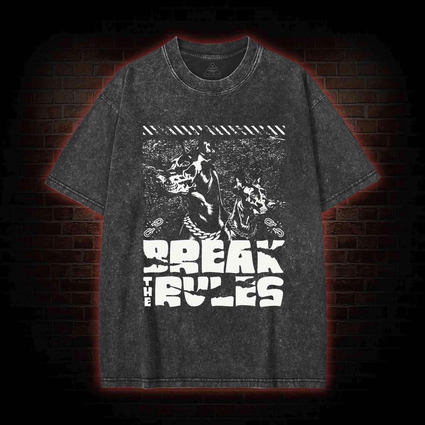 Break the Rules Washed T-shirt