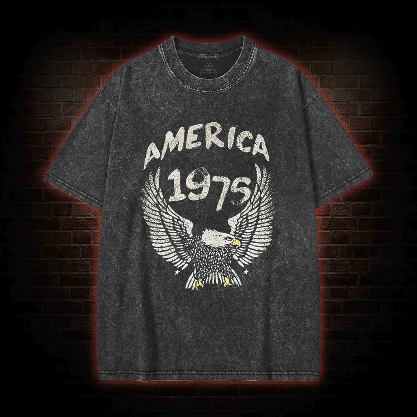 America 1975 Washed T-shirt
