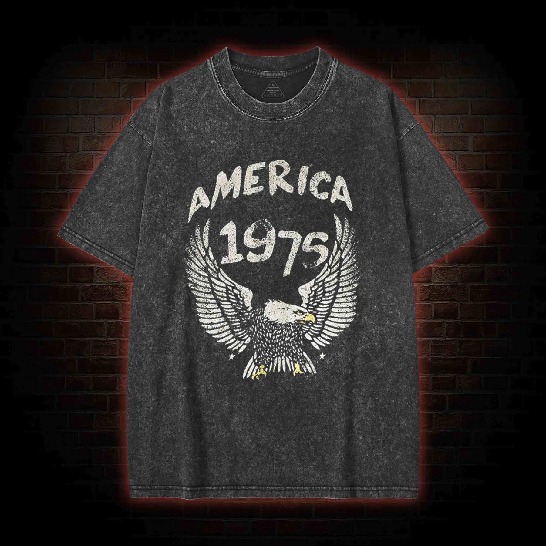 America 1975 Washed T-shirt