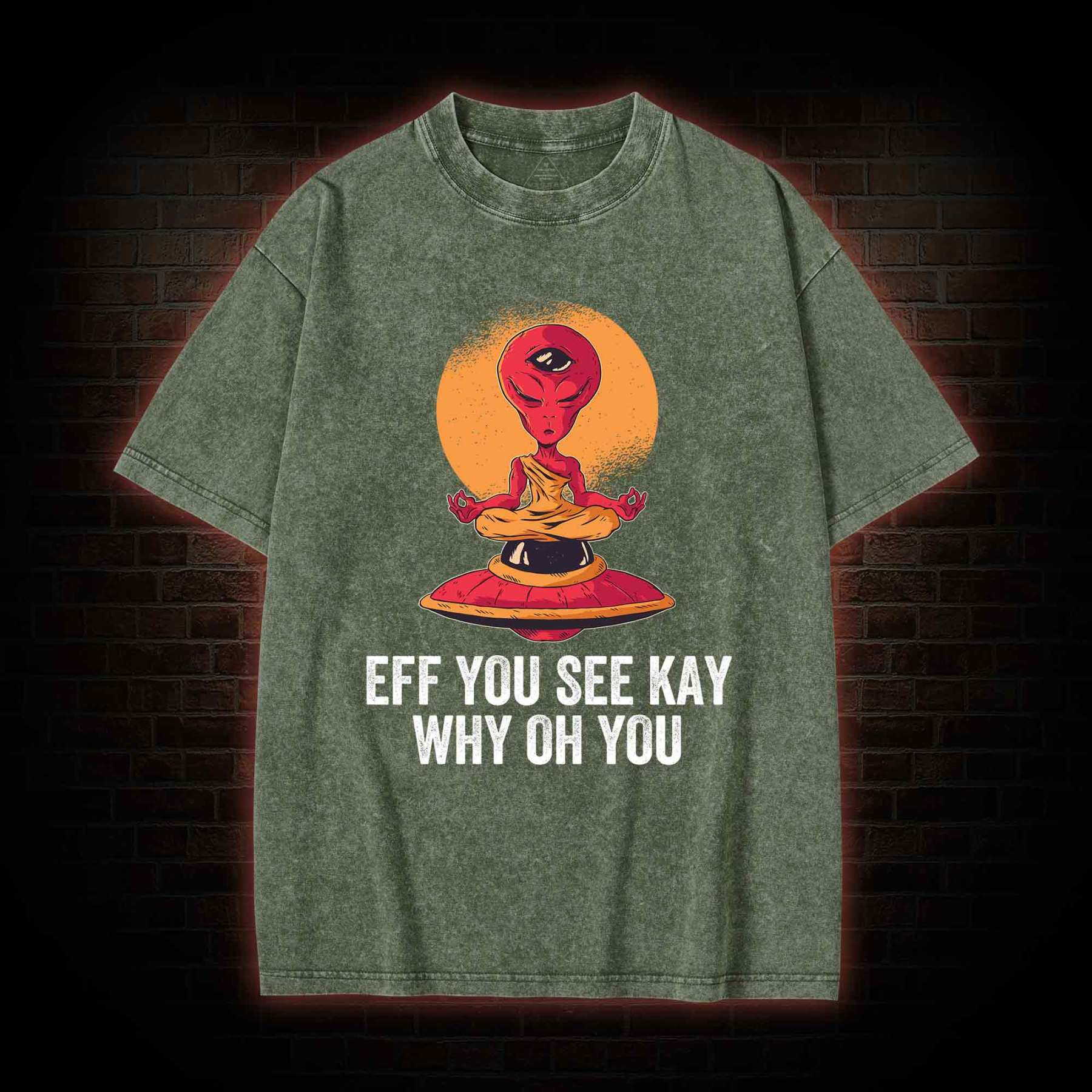 Eff You See Kay Why Oh You Alien Washed T-shirt
