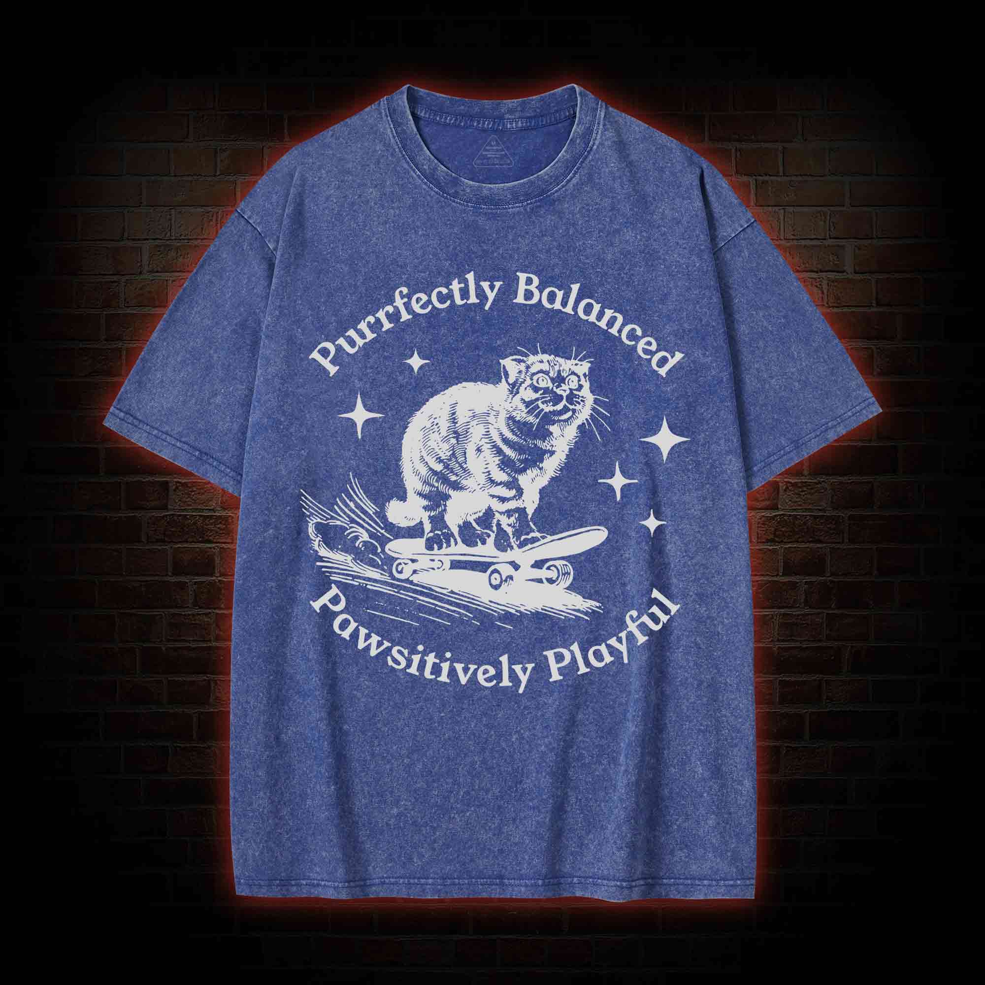 Purrfectly Balanced Washed T-shirt