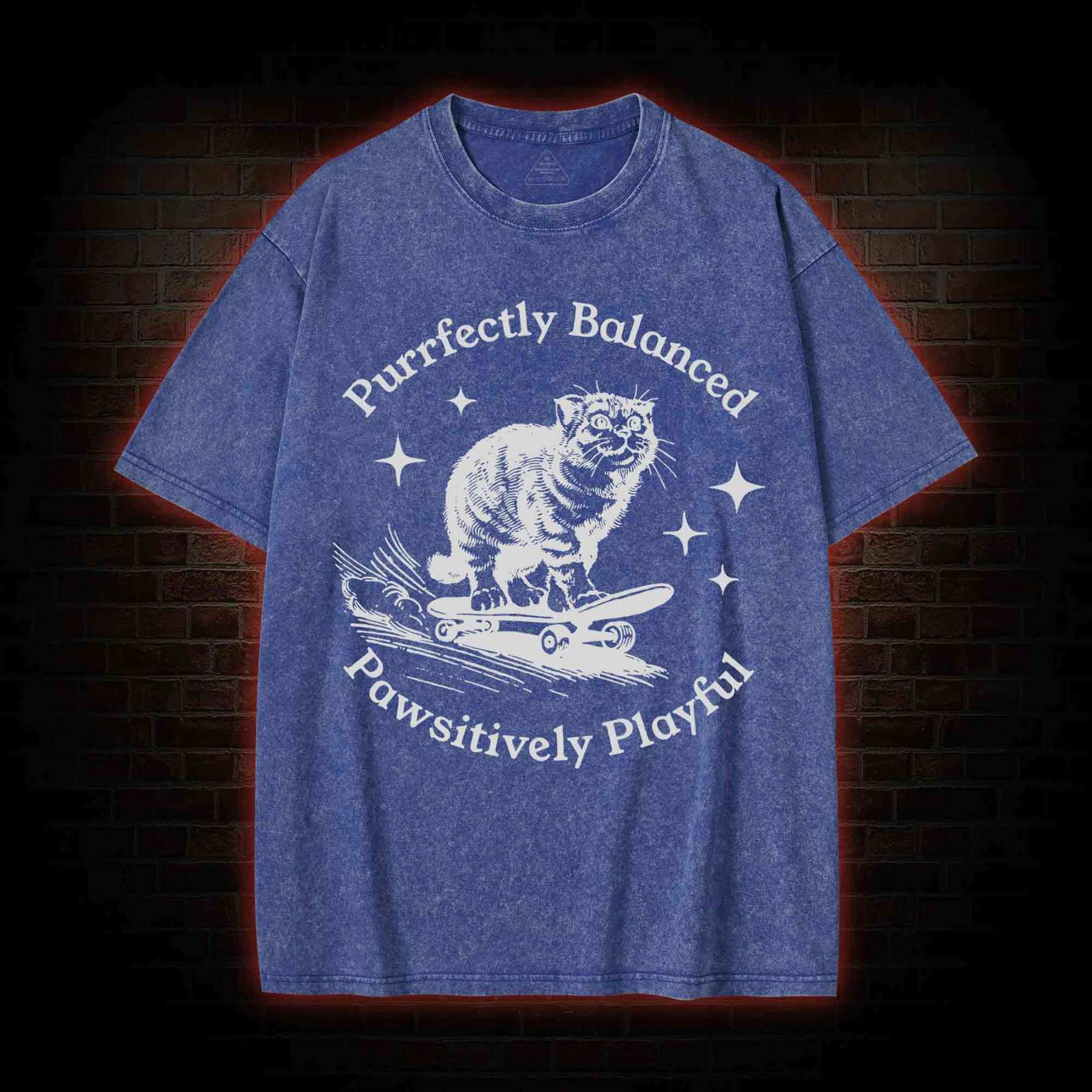 Purrfectly Balanced Washed T-shirt