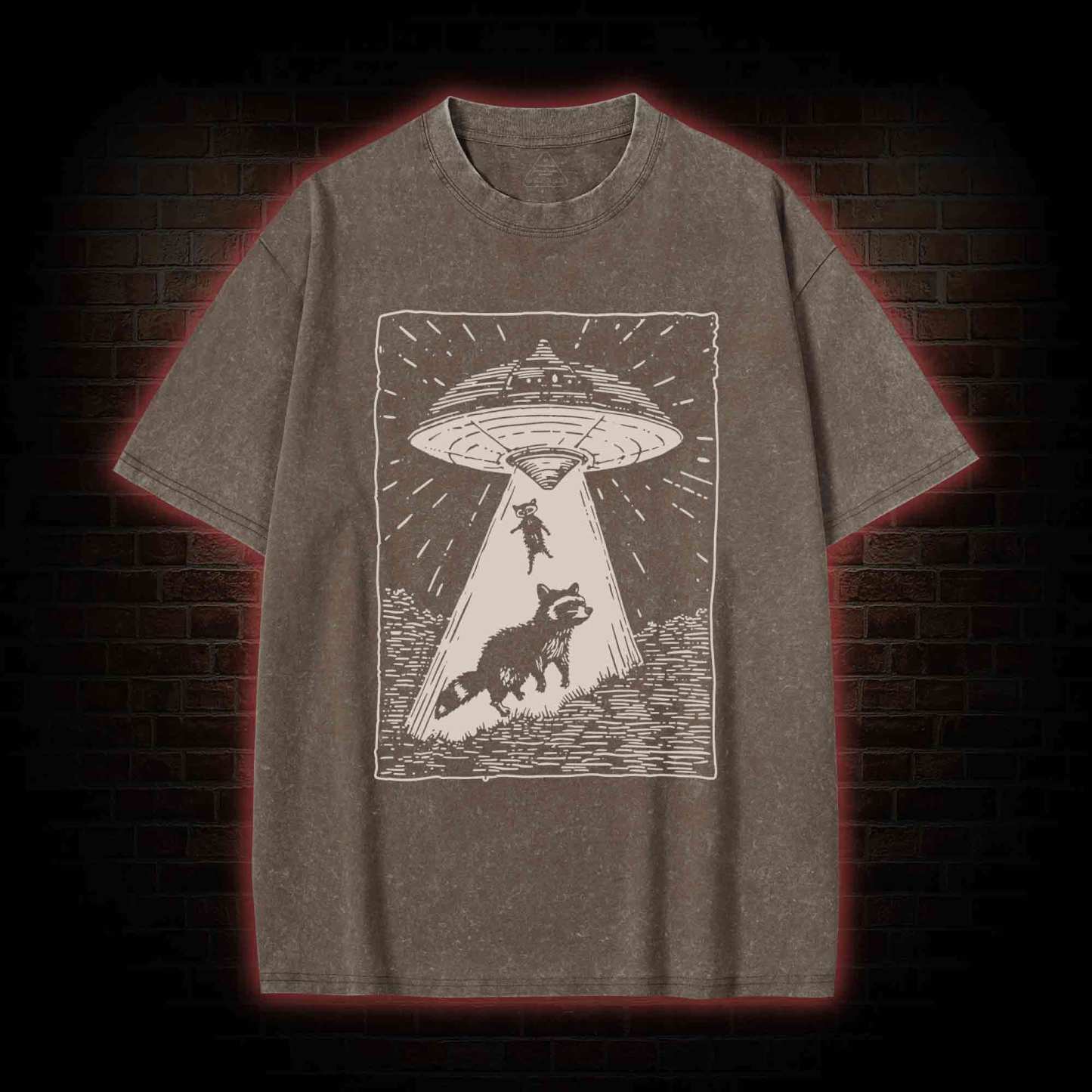 UFO and Raccoons Washed T-shirt