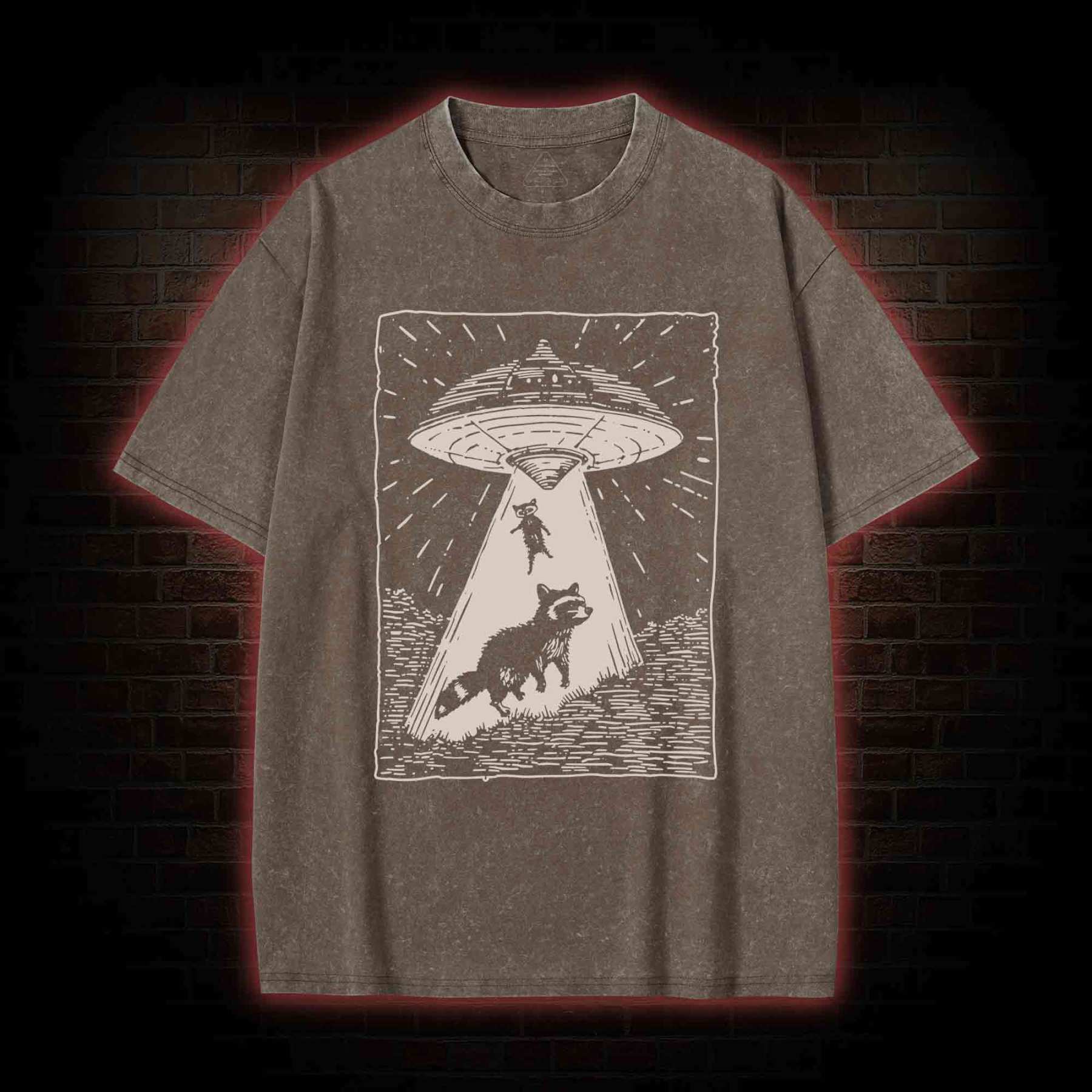 UFO and Raccoons Washed T-shirt