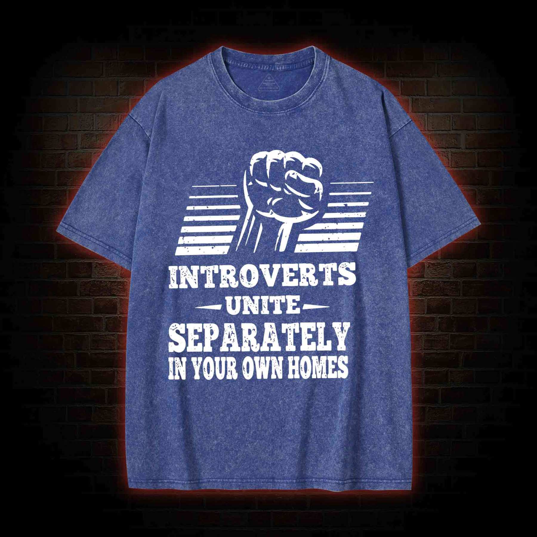 Introverts Unite Separately In Your Own Homes Washed T-shirt