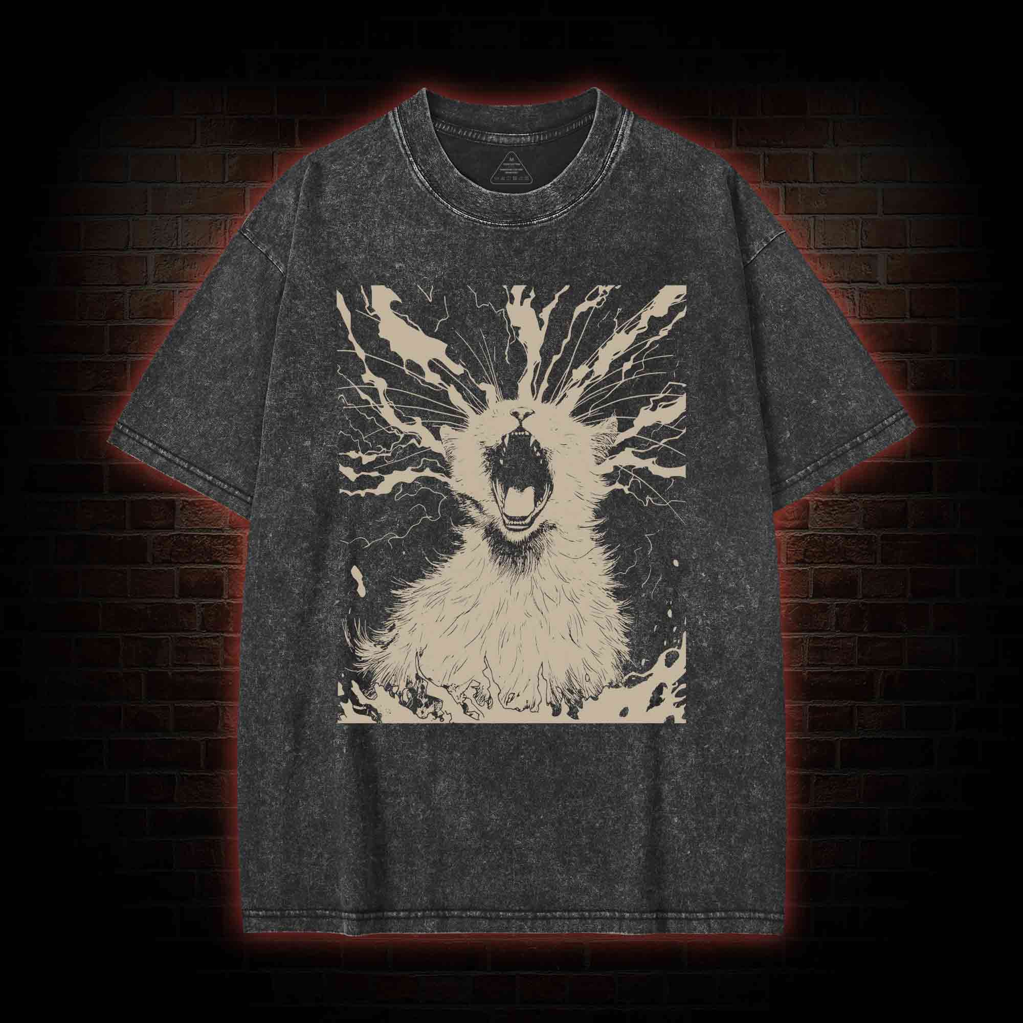 Black Cat Aether Washed T-shirt