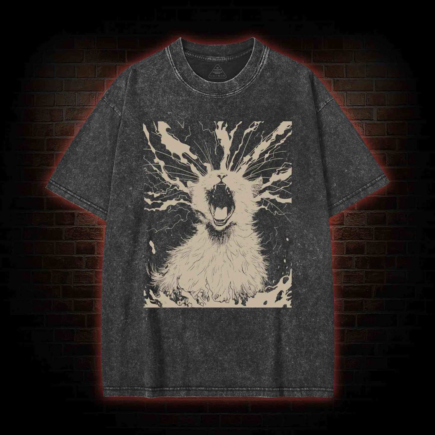 Black Cat Aether Washed T-shirt