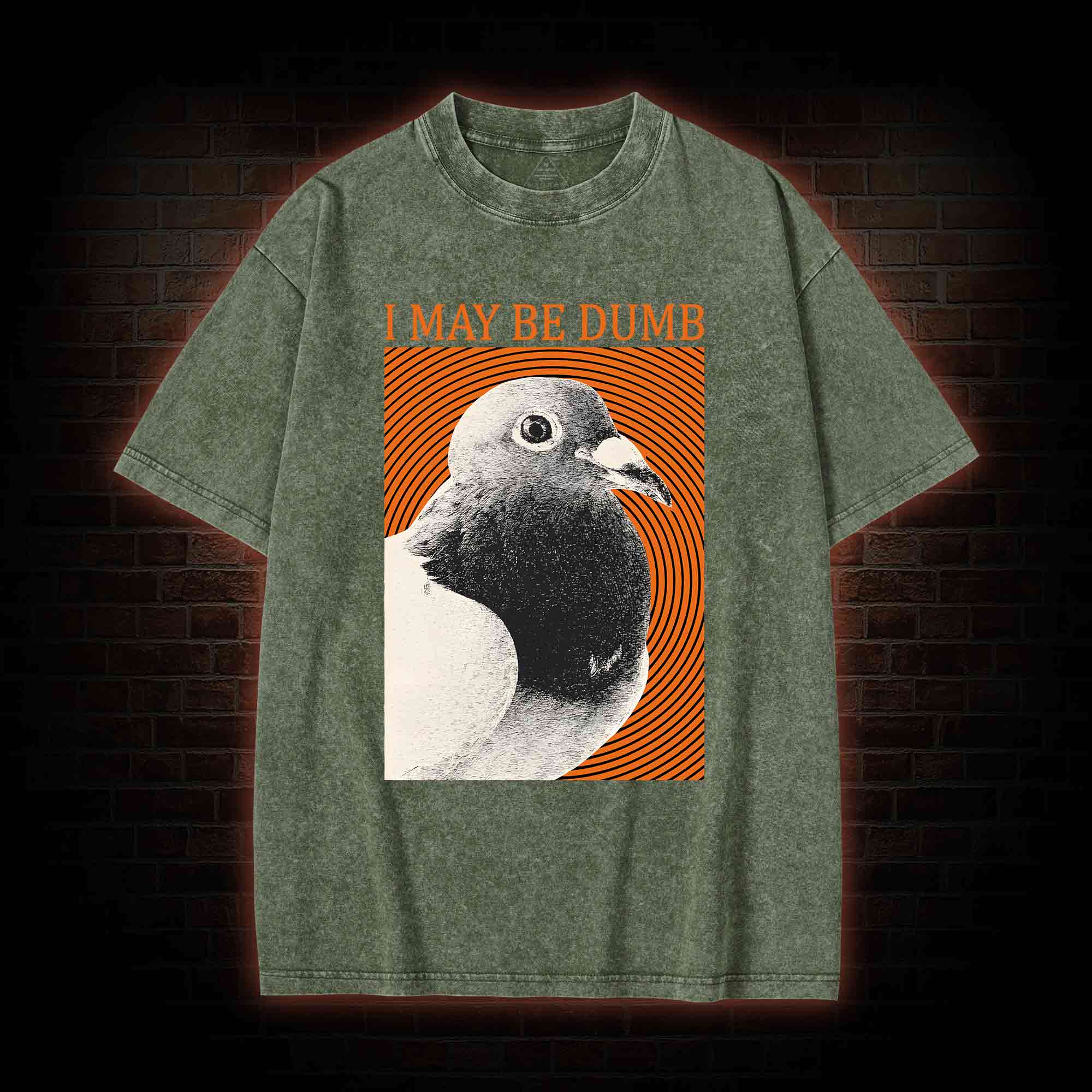 I May Be Dumb Washed T-shirt