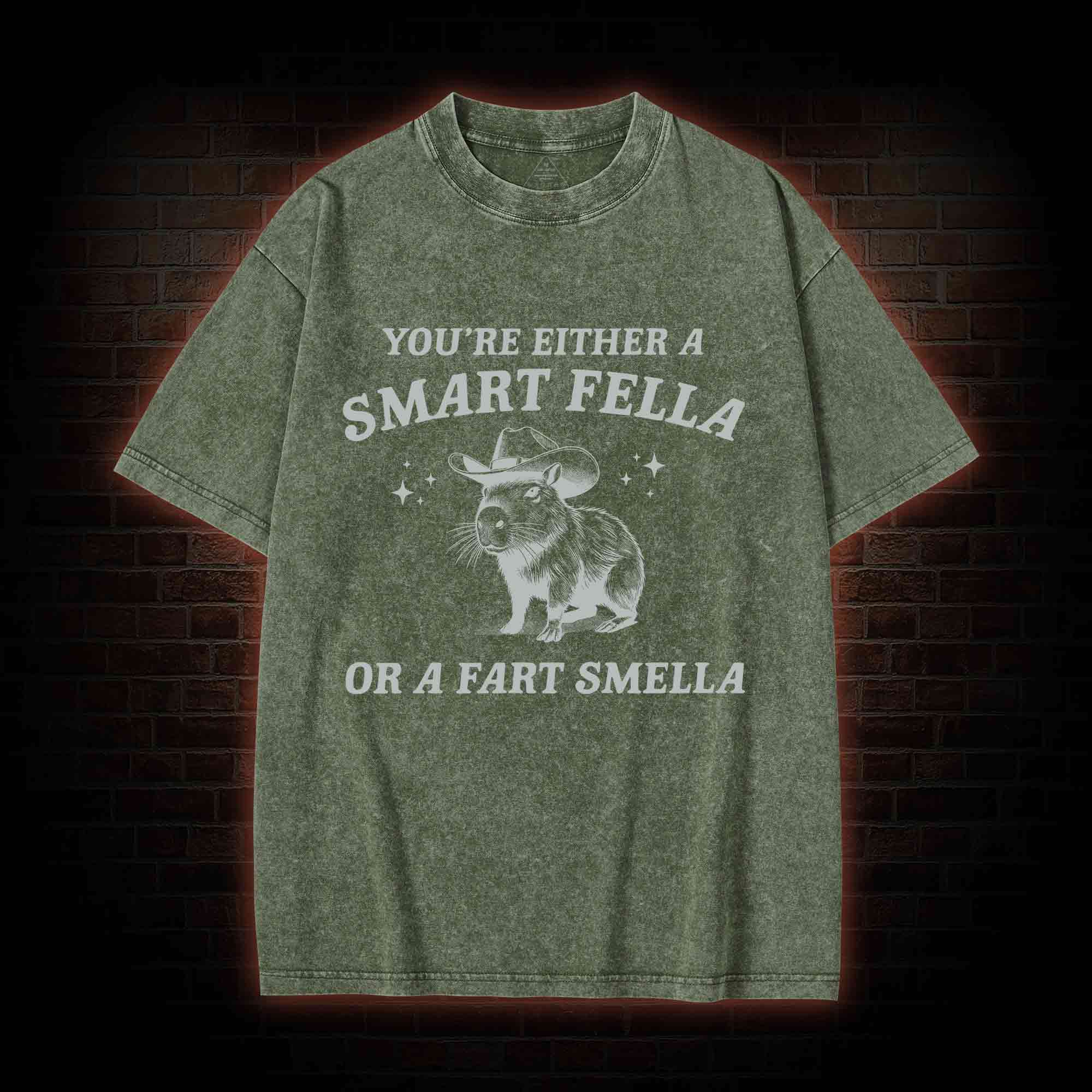Smart Fella Or Fart Smella Washed T-shirt