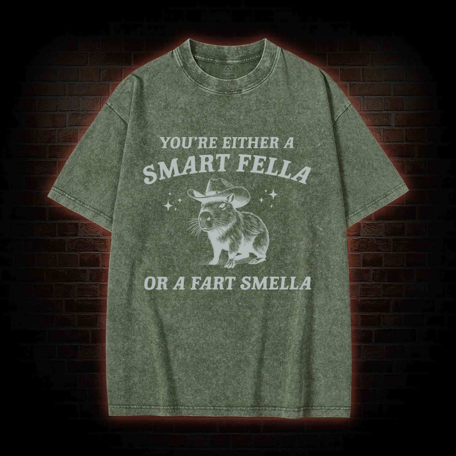 Smart Fella Or Fart Smella Washed T-shirt