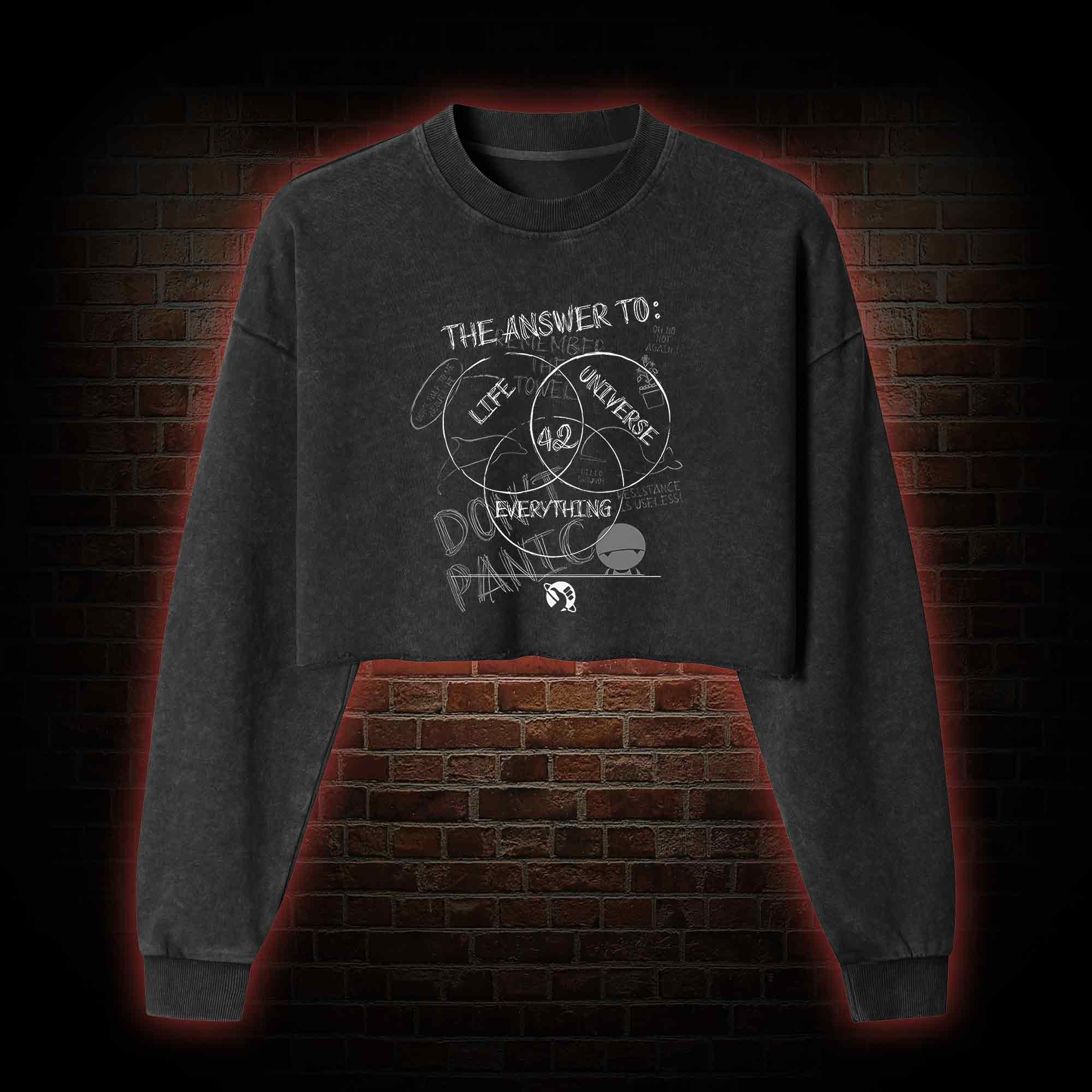Life Universe Everything Washed Cropped Sweatshirts