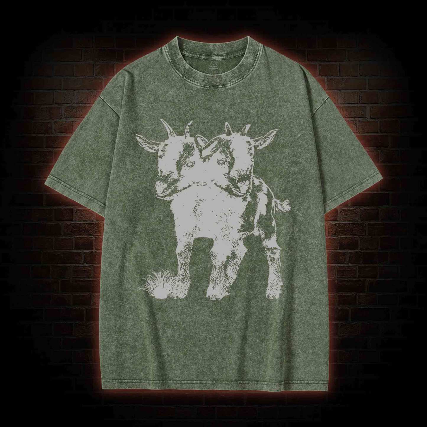 Two Headed Goat Washed T-shirt