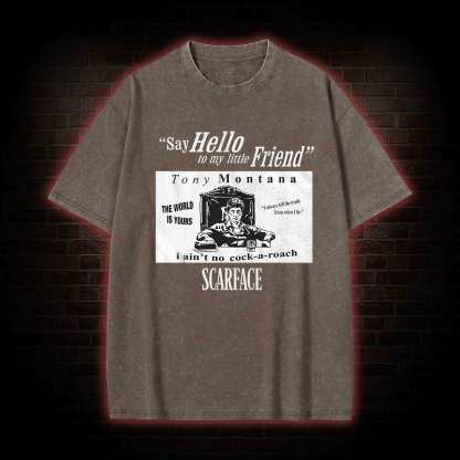 Say Hello to My Little Friend Washed T-shirt